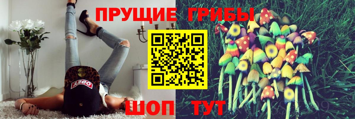Галлюциногенные грибы Cubensis  Вход с VPN  Усть-Джегута 
